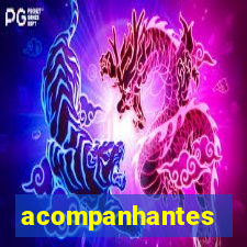 acompanhantes masculino pvh